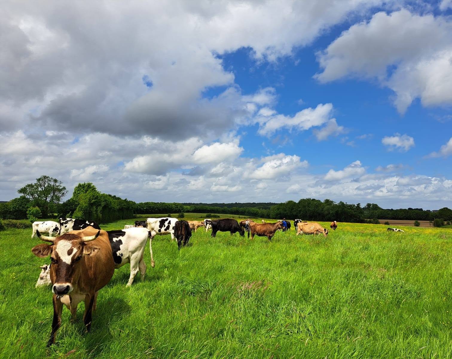 Ferme engagée